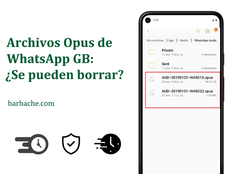 Archivos Opus de WhatsApp GB Se pueden borrar