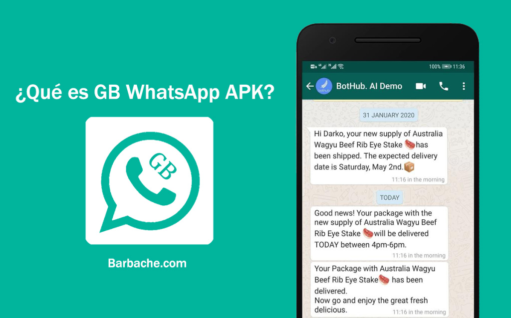 Barbache-GB-whatsapp